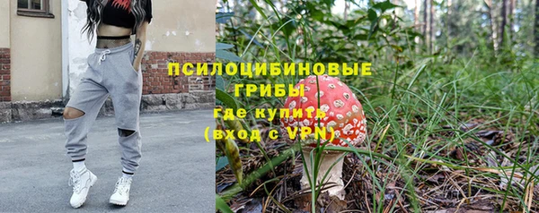 прущие крисы Алексеевка