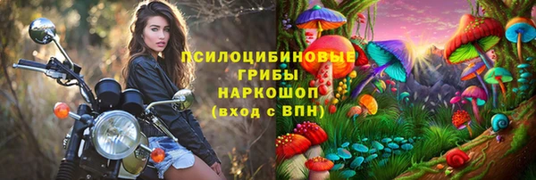 прущие крисы Алексеевка